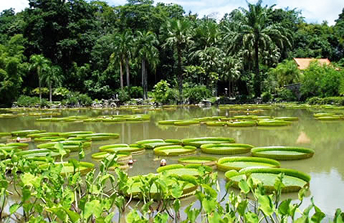 Jinghong Parque Botánico