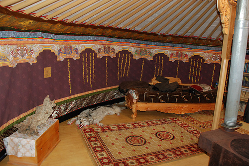 YURTA INT
