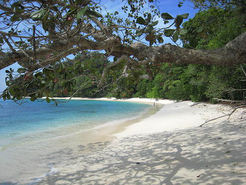 Havelock-Island-Andaman-Nicobar-beach1