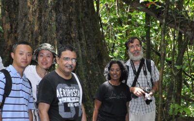 El eco-turismo en Borneo