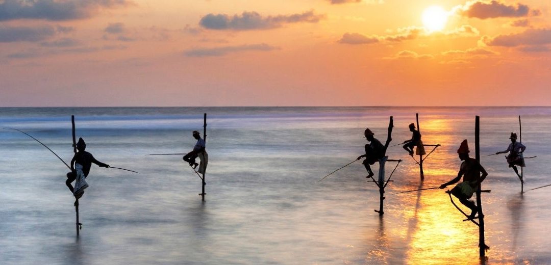 Pescadores zancudos en Sri Lanka