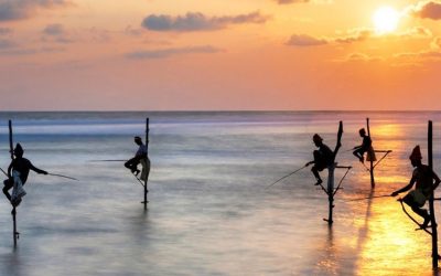 Pescadores zancudos en Sri Lanka