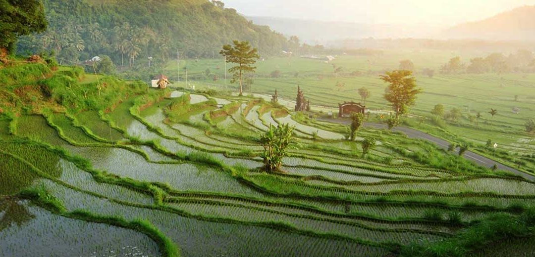 El día de la tranquilidad (BALI)