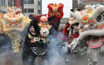 2011: Año del Conejo en China