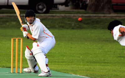 Experiencias viajeras para 2011: Cricket en India y Sri Lanka