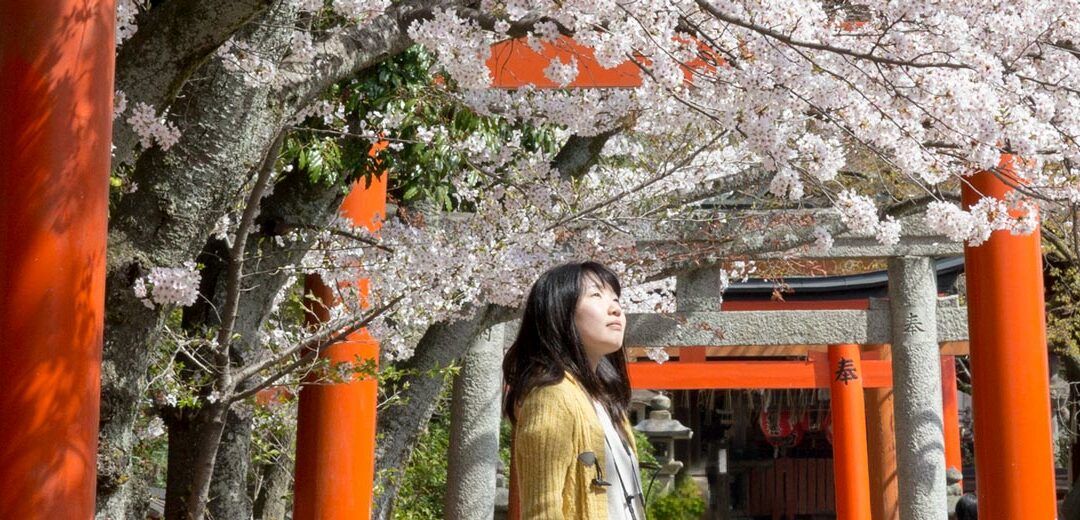 El sakura colorea Japón
