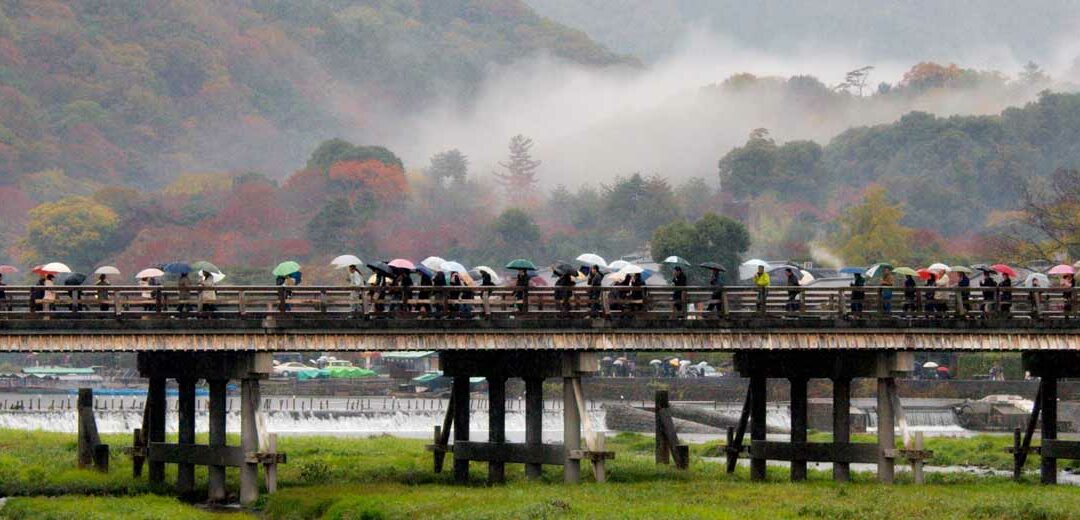 Resumen de este año en Japón