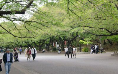 El parque Ueno de Tokio, Japón