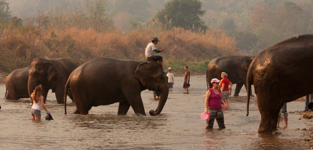 Un safari en la jungla tailandesa con todas las comodidades