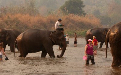 Un safari en la jungla tailandesa con todas las comodidades