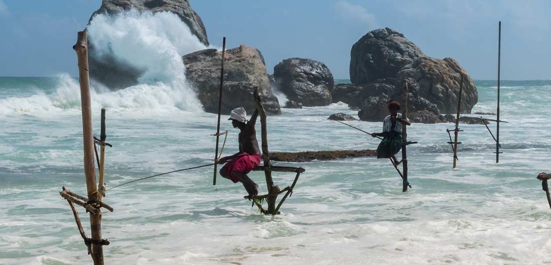 Los viajes de nuestro Staff: Sri Lanka por Kyoko Yoshida