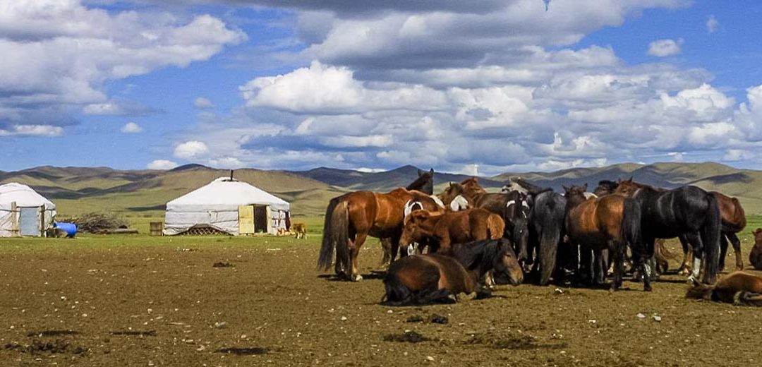 Las Yurtas de Mongolia