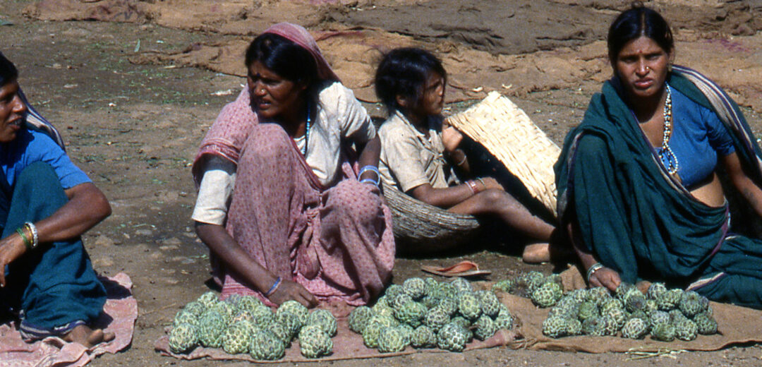 Viejo esplendor en Pachmarhi, India