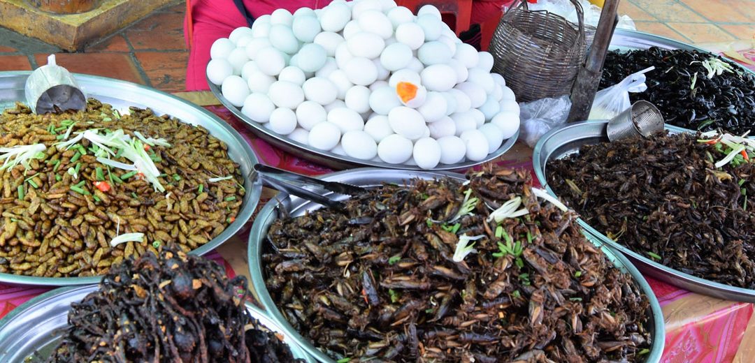 Los cinco platos más extraños de Asia