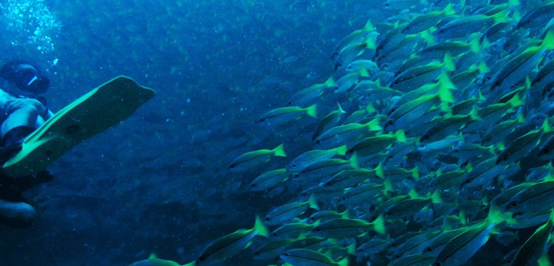 La isla Tioman, Malasia