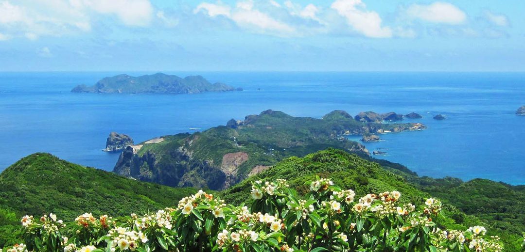 Ogasawara: Las Galápagos de Japón