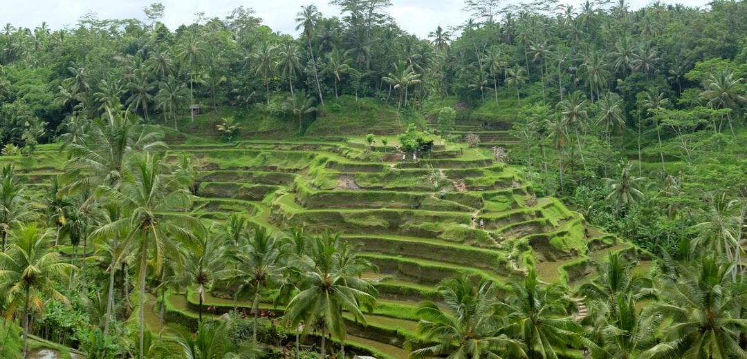 Bali: Playa y mucho más