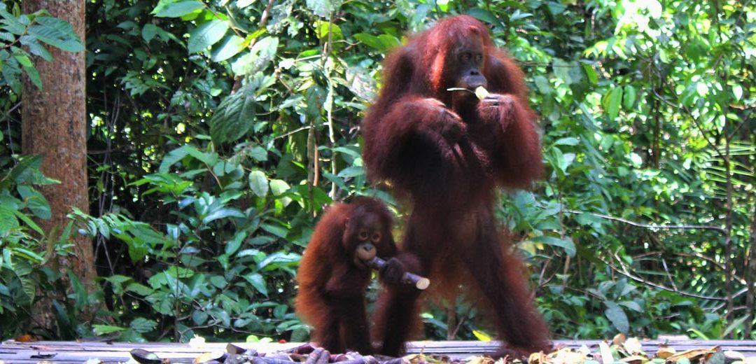 Indonesia: Más allá de Bali