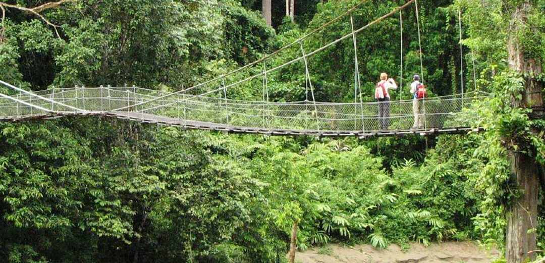 El fascinante valle de Danum