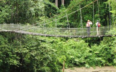 El fascinante valle de Danum