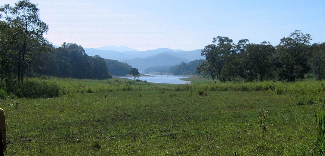 Vida salvaje de Periyar, India