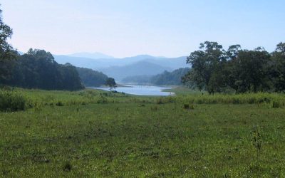 Vida salvaje de Periyar, India