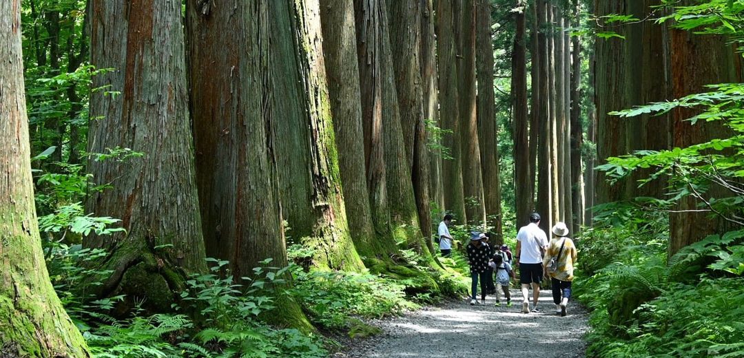 Nagano: El Japón más tradicional