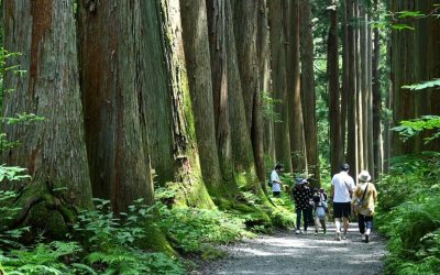 Nagano: El Japón más tradicional