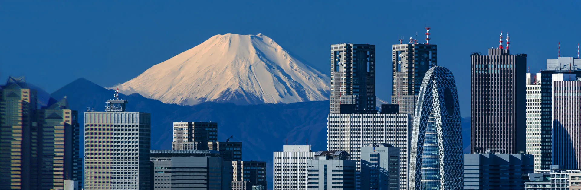 Konnichiwa Japón 8 días 12