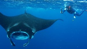 PF Moorea la isla mágica 11 días 1 1