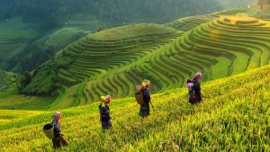 KHVN Vietnam y Camboya de Sapa a Siem Reap 16 días 1