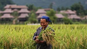 KHVN Descubriendo Vietnam y Camboya 15 días 1