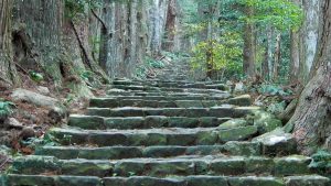 JP Camino de Kumano y Monte Koya 12 días 1