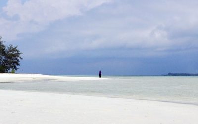 El Parque Nacional de Taman Karimunjawa en Indonesia