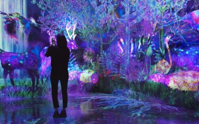 TeamLab Borderless: el Museo de Arte Digital del edificio Mori en Tokyo