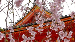 JP Semana Santa Japón 9 días 1