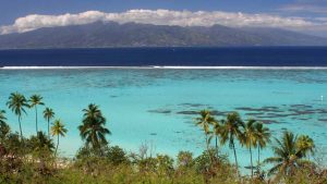 NZPF Nueva Zelanda y Moorea 23 días 1 1