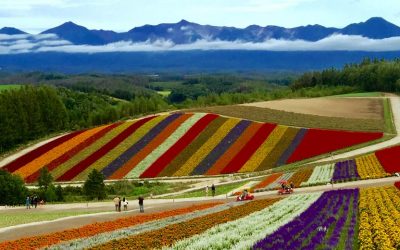 Viajar a Japón: Hokkaido,  la isla de las Cuatro Estaciones