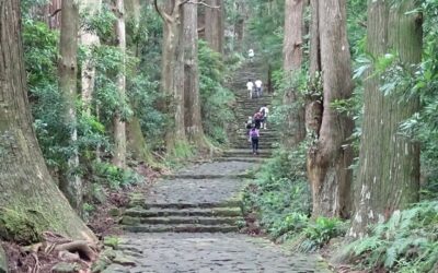 Descubre el camino de Kumano Kodo en un viaje espiritual a Japón