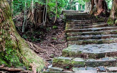 Descubre el camino de Kumano Kodo en un viaje espiritual a Japón