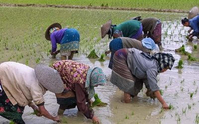 Las tribus de Laos, visita obligada