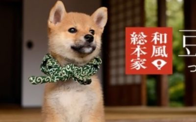 Documentales Sobre Japón