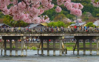 15 días por Japón: un viaje en el tiempo de castillos a la era tecnológica