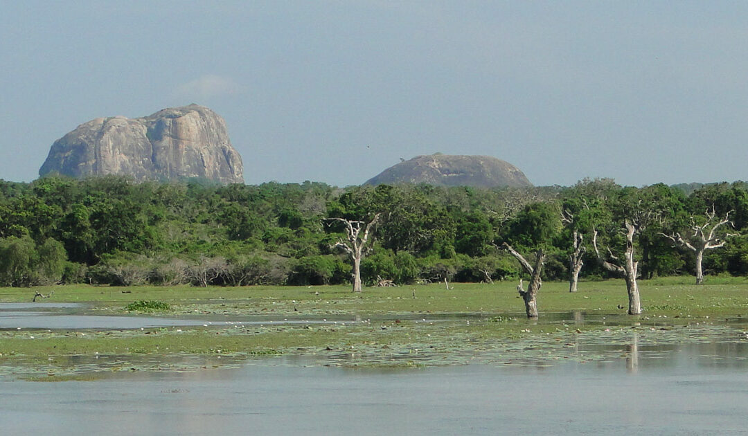 ¡Vive la naturaleza en tu viaje a Sri Lanka! 5 parques nacionales