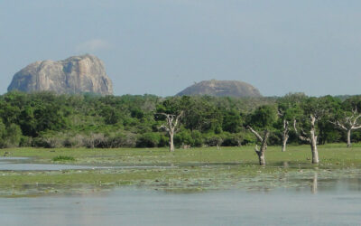 ¡Vive la naturaleza en tu viaje a Sri Lanka! 5 parques nacionales