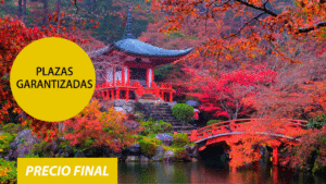 Principal salida 4 nov a japon precio final y salida grantizada