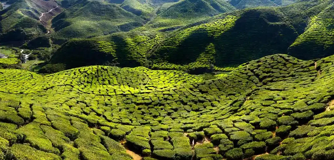 ¿Qué ver en Malasia? Descubre 10 lugares imprescindibles