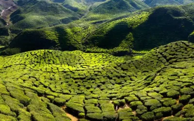 ¿Qué ver en Malasia? Descubre 10 lugares imprescindibles