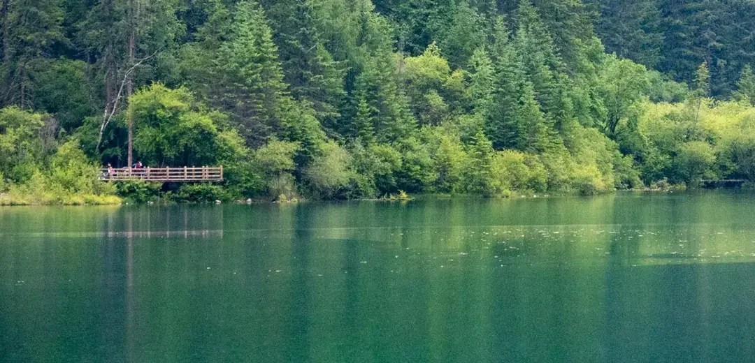 Parques nacionales de China: maravillas naturales para descubrir