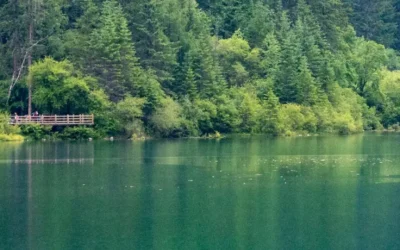 Parques nacionales de China: maravillas naturales para descubrir